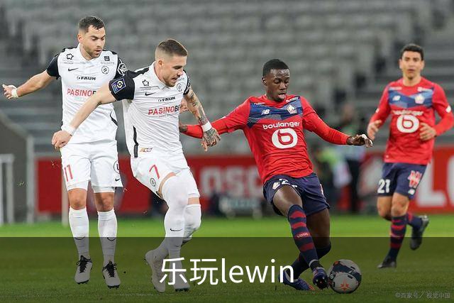 乐玩lewin公司简介图片